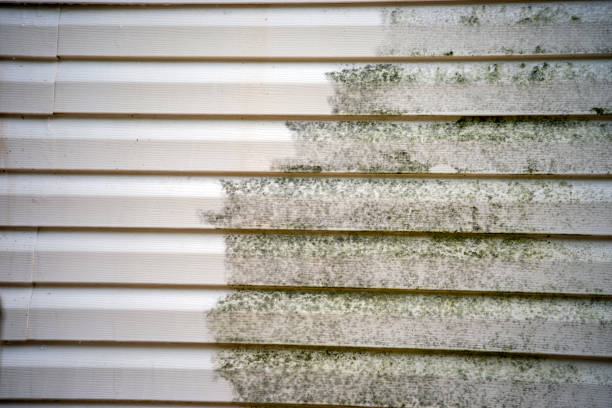 Trusted Laurel Springs, NJ Siding Installation & Repair Experts