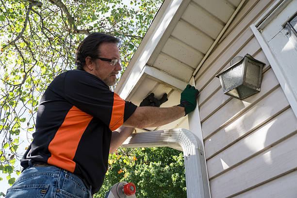 Best Steel Siding Installation  in Laurel Springs, NJ